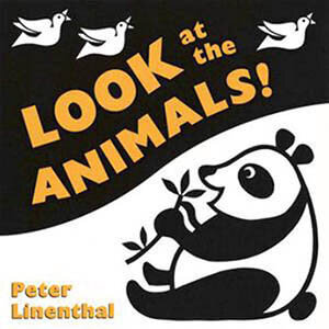 Look at the Animals Featured Image
